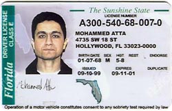 Drivers License For Illegal Immigrants In Arkansas Drivers License For Illegal Immigrants In Arkansas